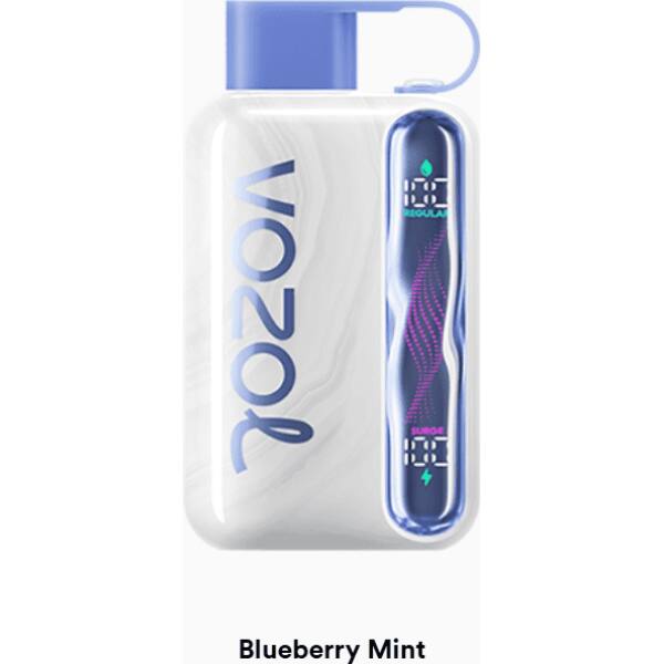 Vozol Star 40000 Blueberry Mint