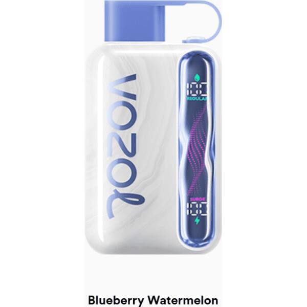 Vozol Star 40000 Blueberry Watermelon