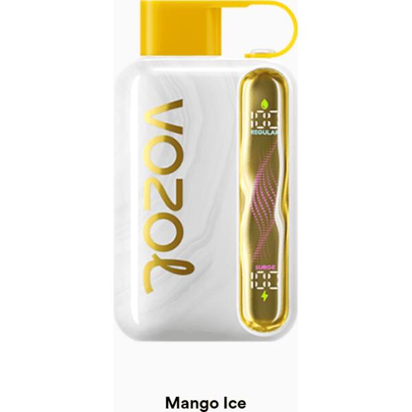 Vozol Star 40000 Mango Ice