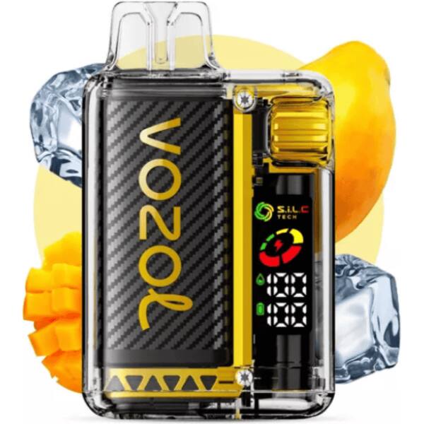 Vozol Vista 20000 Mango Ice