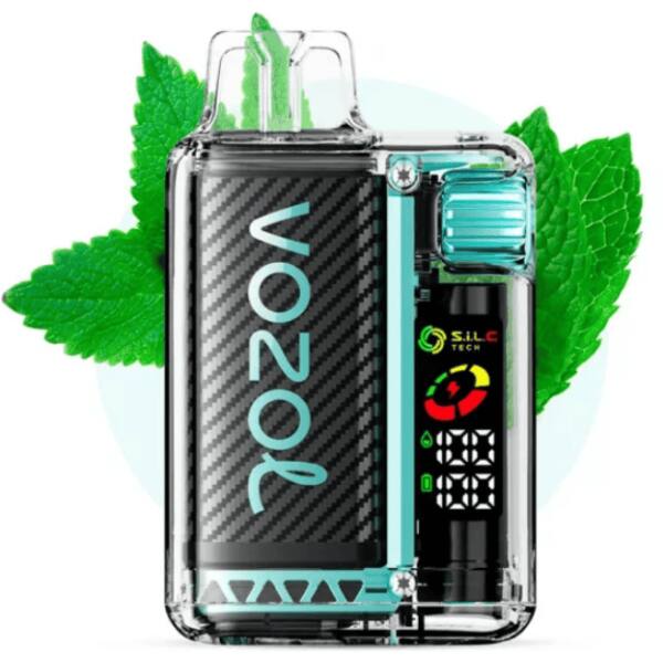 Vozol Vista 20000 Miami Mint