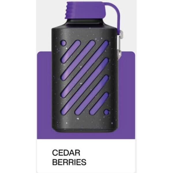 VOZOL Gear 10000 Cedar Berries