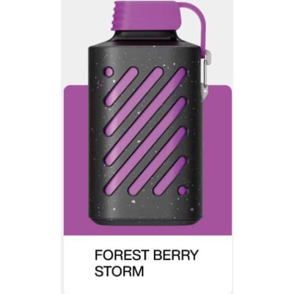 VOZOL Gear 10000 Forest Berry Storm