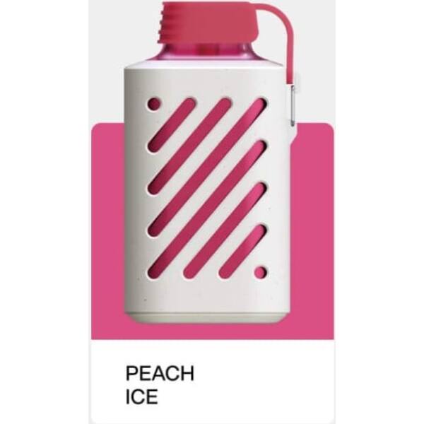 Vozol Gear 10000 Peach ice