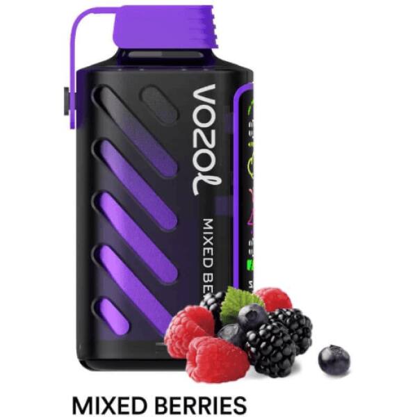 Vozol Gear Power 20000 Mixed Berries